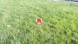 Terreno R�stico - A Ver-o-Mar, P�voa de Varzim, Porto - Miniatura: 1/2