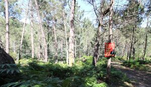Terreno R�stico - Vilar da Veiga, Terras de Bouro, Braga - Miniatura: 3/9