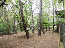 Terreno R�stico - Cruz, Vila Nova de Famalic�o, Braga - Miniatura: 6/20