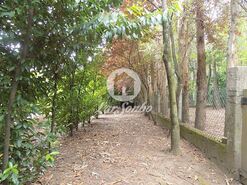 Terreno R�stico - Cruz, Vila Nova de Famalic�o, Braga - Miniatura: 8/20