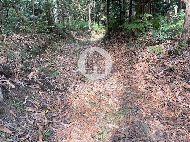 Terreno R�stico - Bagunte, Vila do Conde, Porto - Imagem grande