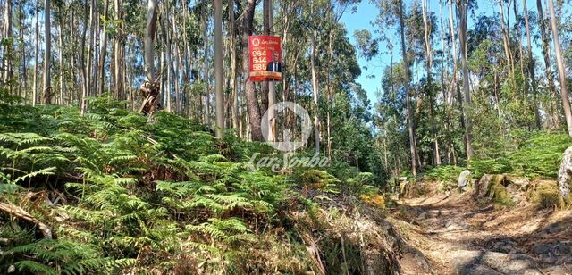 Terreno R�stico - Ruiv�es, Vila Nova de Famalic�o, Braga - Imagem grande