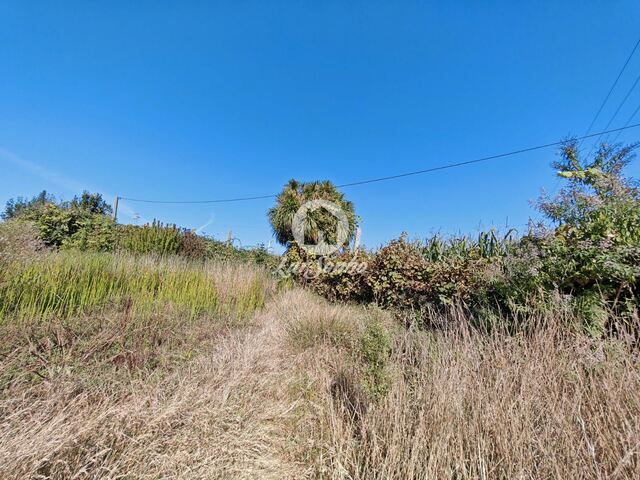 Terreno R�stico - Labruge, Vila do Conde, Porto - Imagem grande