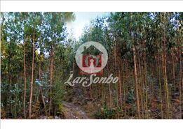 Terreno R�stico - Fornelo e Vair�o, Vila do Conde, Porto