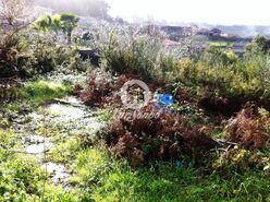 Terreno R�stico - Fornelo e Vair�o, Vila do Conde, Porto