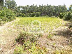 Terreno R�stico - P�voa de Varzim, P�voa de Varzim, Porto