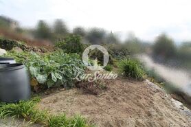 Terreno R�stico - Joane, Vila Nova de Famalic�o, Braga