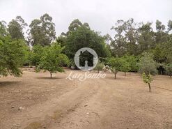 Terreno R�stico - Cruz, Vila Nova de Famalic�o, Braga