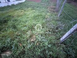 Terreno R�stico - Gondifelos, Vila Nova de Famalic�o, Braga