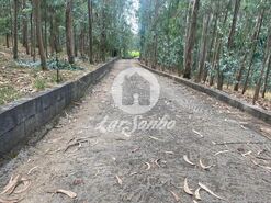 Terreno R�stico - Bagunte, Vila do Conde, Porto - Miniatura: 12/25