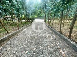 Terreno R�stico - Bagunte, Vila do Conde, Porto - Miniatura: 16/25