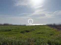 Terreno R�stico - Labruge, Vila do Conde, Porto - Miniatura: 1/13