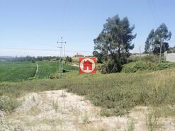Terreno Rstico - Junqueira, Vila do Conde, Porto - Miniatura: 3/4