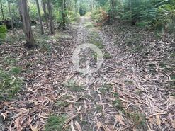 Terreno R�stico - Bagunte, Vila do Conde, Porto - Miniatura: 1/3