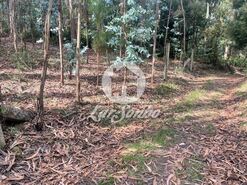 Terreno R�stico - Bagunte, Vila do Conde, Porto - Miniatura: 2/3
