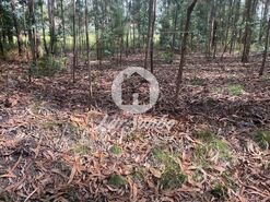 Terreno R�stico - Bagunte, Vila do Conde, Porto - Miniatura: 3/3