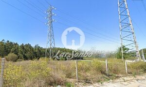 Terreno R�stico - Retorta, Vila do Conde, Porto - Miniatura: 4/4