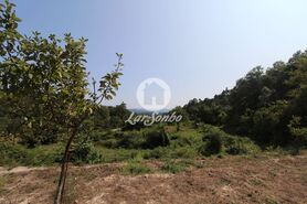 Quinta T3 - Ati�es, Vila Verde, Braga - Miniatura: 8/19