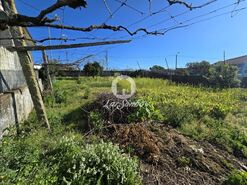 Terreno R�stico - Bagunte, Vila do Conde, Porto - Miniatura: 6/20