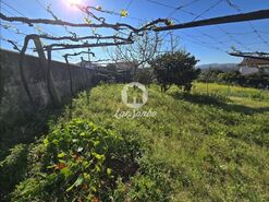 Terreno R�stico - Bagunte, Vila do Conde, Porto - Miniatura: 11/20