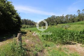 Terreno R�stico - Junqueira, Vila do Conde, Porto - Miniatura: 1/5