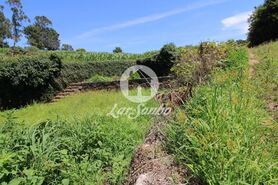 Terreno R�stico - Junqueira, Vila do Conde, Porto - Miniatura: 4/5
