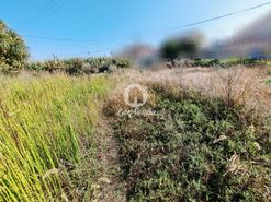 Terreno R�stico - Labruge, Vila do Conde, Porto - Miniatura: 4/13