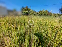 Terreno R�stico - Labruge, Vila do Conde, Porto - Miniatura: 6/13