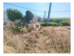Terreno R�stico - Labruge, Vila do Conde, Porto - Miniatura: 8/13