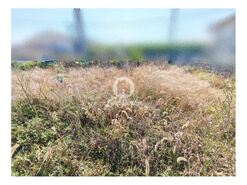 Terreno R�stico - Labruge, Vila do Conde, Porto - Miniatura: 10/13