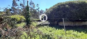 Terreno R�stico - P�voa de Varzim, P�voa de Varzim, Porto - Miniatura: 2/9