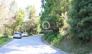 Terreno R�stico - Vilar da Veiga, Terras de Bouro, Braga - Miniatura: 1/9