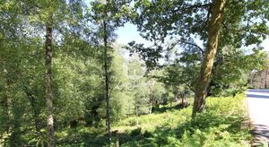 Terreno R�stico - Vilar da Veiga, Terras de Bouro, Braga - Miniatura: 2/9