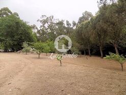 Terreno R�stico - Cruz, Vila Nova de Famalic�o, Braga - Miniatura: 4/20
