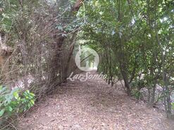 Terreno R�stico - Cruz, Vila Nova de Famalic�o, Braga - Miniatura: 9/20
