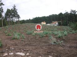 Terreno R�stico - Malta, Vila do Conde, Porto - Miniatura: 3/4