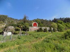 Terreno R�stico - Vale (S�o Martinho), Vila Nova de Famalic�o, Braga - Miniatura: 3/5