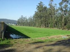 Terreno R�stico - Rates, P�voa de Varzim, Porto - Miniatura: 1/1