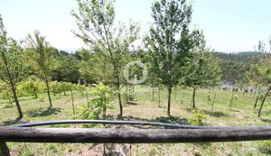 Quinta T1 - Ribeir�o, Vila Nova de Famalic�o, Braga - Miniatura: 8/22