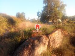 Terreno R�stico - Monte C�rdova, Santo Tirso, Porto - Miniatura: 5/11