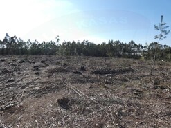 Terreno Rstico - Silveira, Torres Vedras, Lisboa