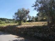 Terreno Rstico - Casais, Tomar, Santarm - Miniatura: 1/7