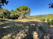 Terreno Rstico - Casais, Tomar, Santarm - Miniatura: 2/7