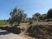 Terreno Rstico - Casais, Tomar, Santarm - Miniatura: 3/7
