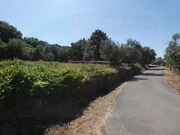 Terreno Rstico - Casais, Tomar, Santarm - Miniatura: 5/7