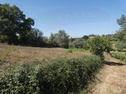 Terreno Rstico - Casais, Tomar, Santarm - Miniatura: 7/7