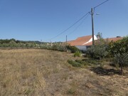 Terreno R�stico - Casais, Tomar, Santar�m - Miniatura: 1/8