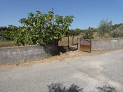 Terreno R�stico - Casais, Tomar, Santar�m - Miniatura: 2/8