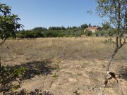 Terreno R�stico - Casais, Tomar, Santar�m - Miniatura: 4/8