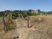 Terreno R�stico - Casais, Tomar, Santar�m - Miniatura: 7/8